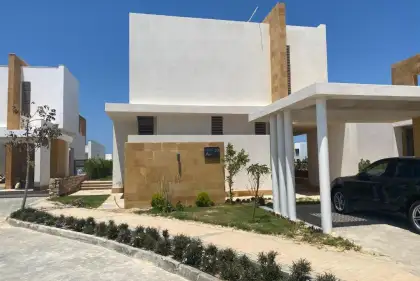 Seashell North Coast